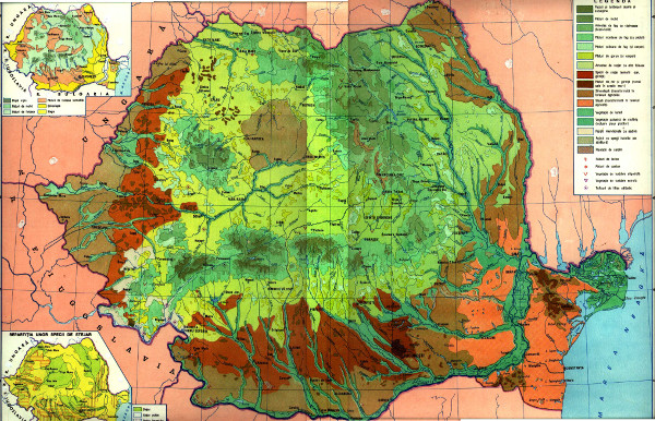 Harta Vegetatiei - Romania